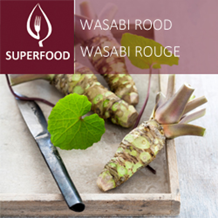 Wasabi - rood