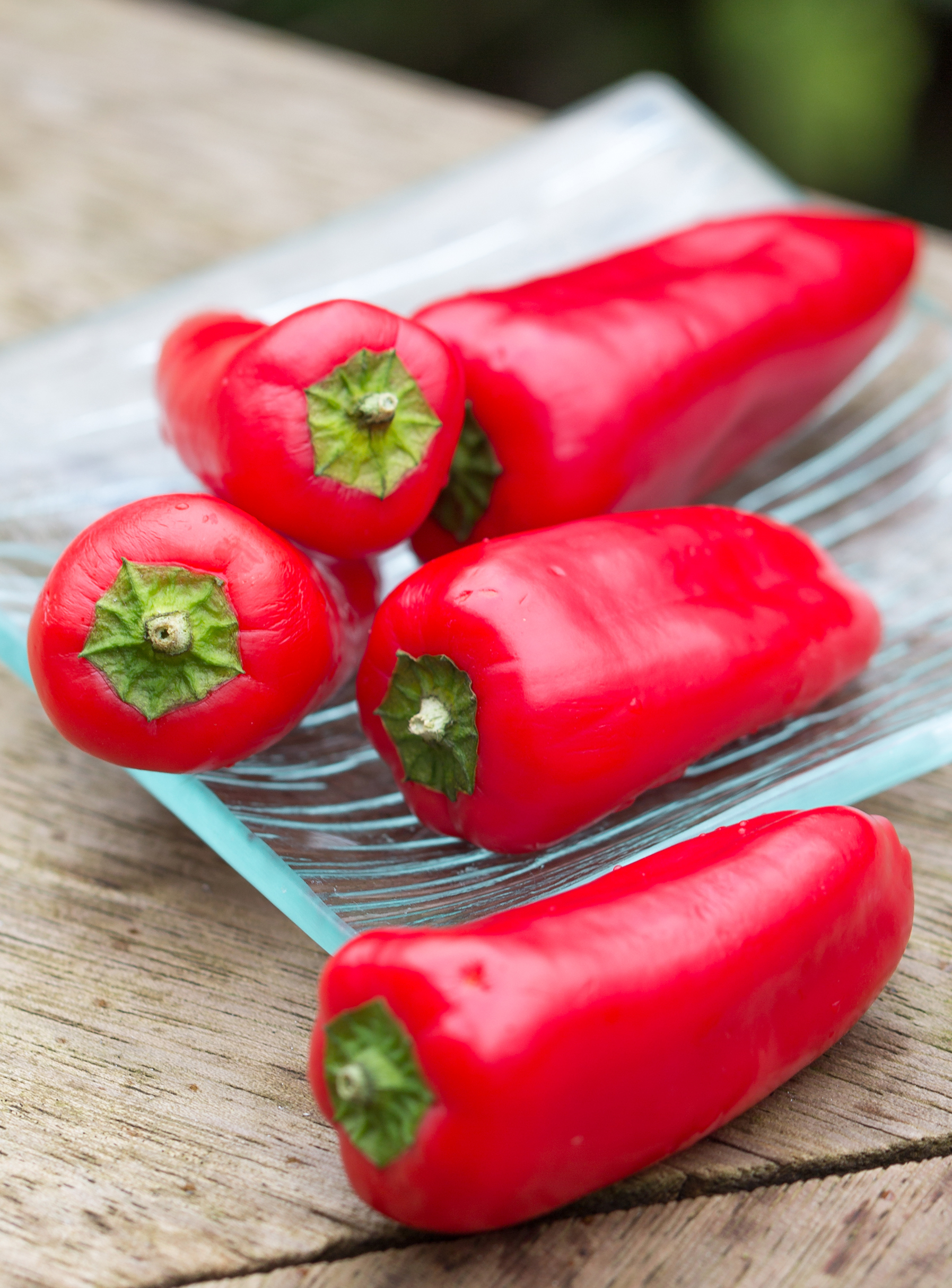 Mini-snackpaprika rood